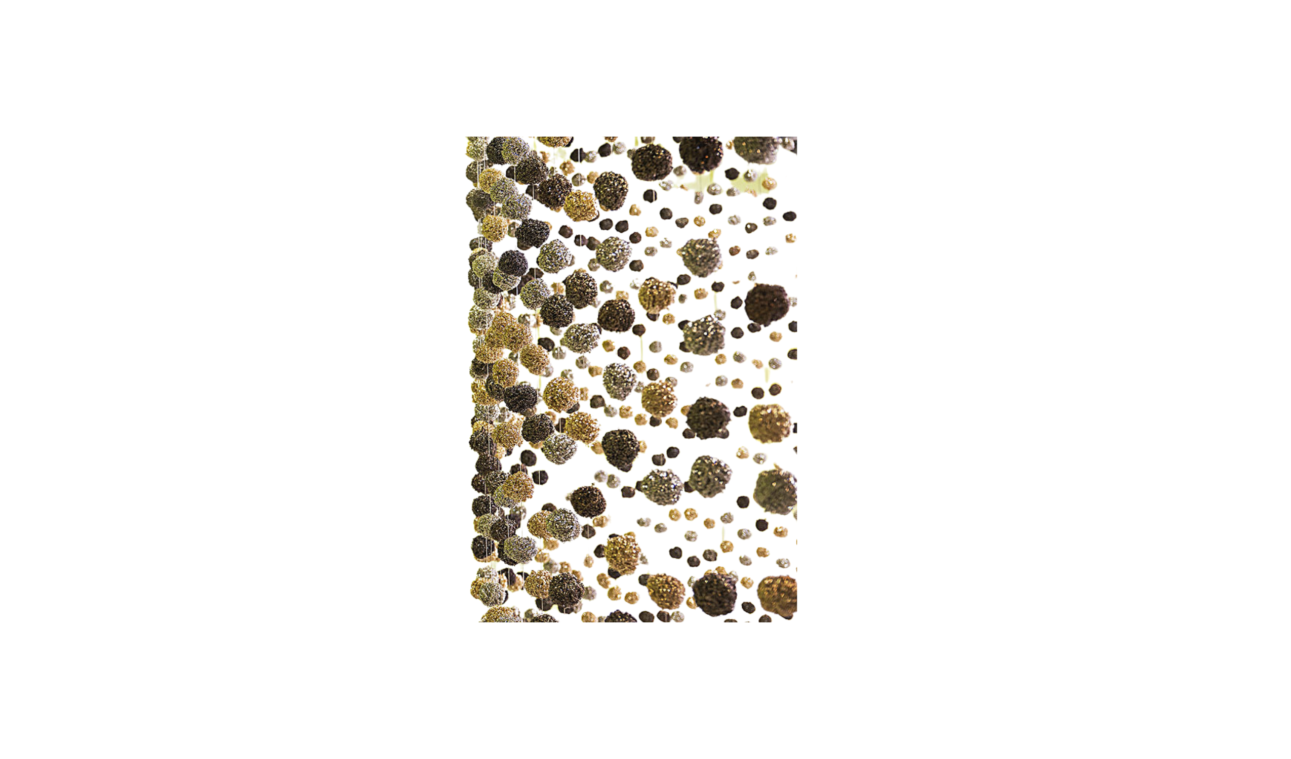 2550x1500-_1_-1