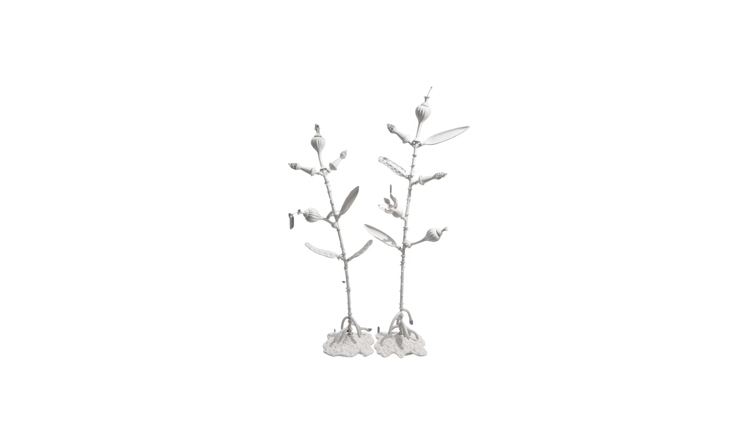 image-16893