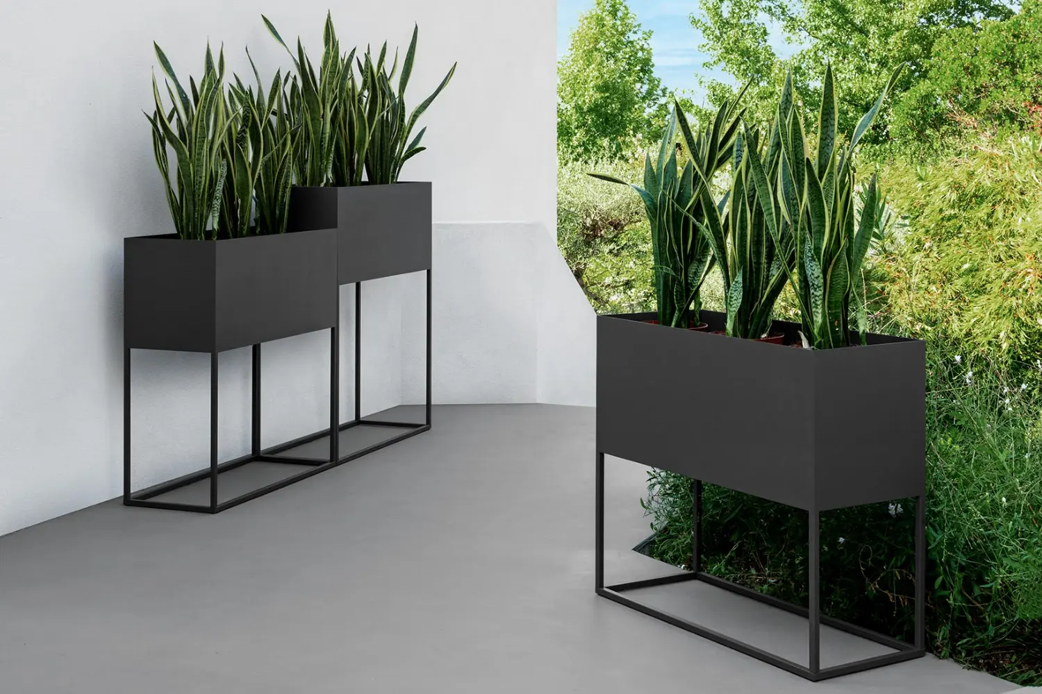Vaso Path''