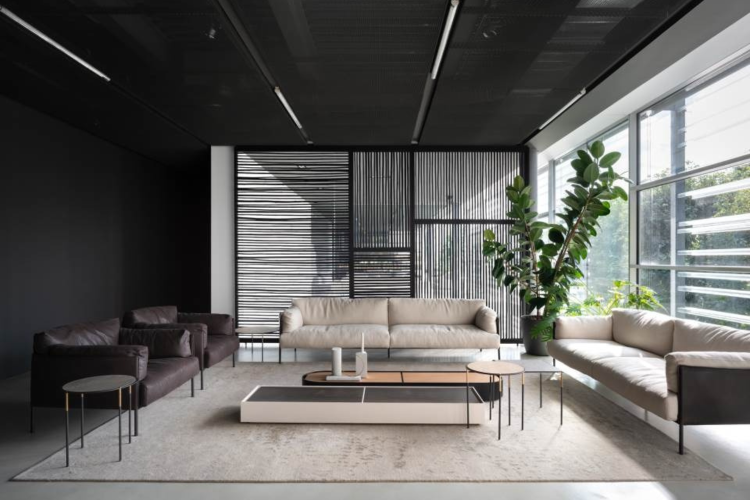 sofa greene''''''