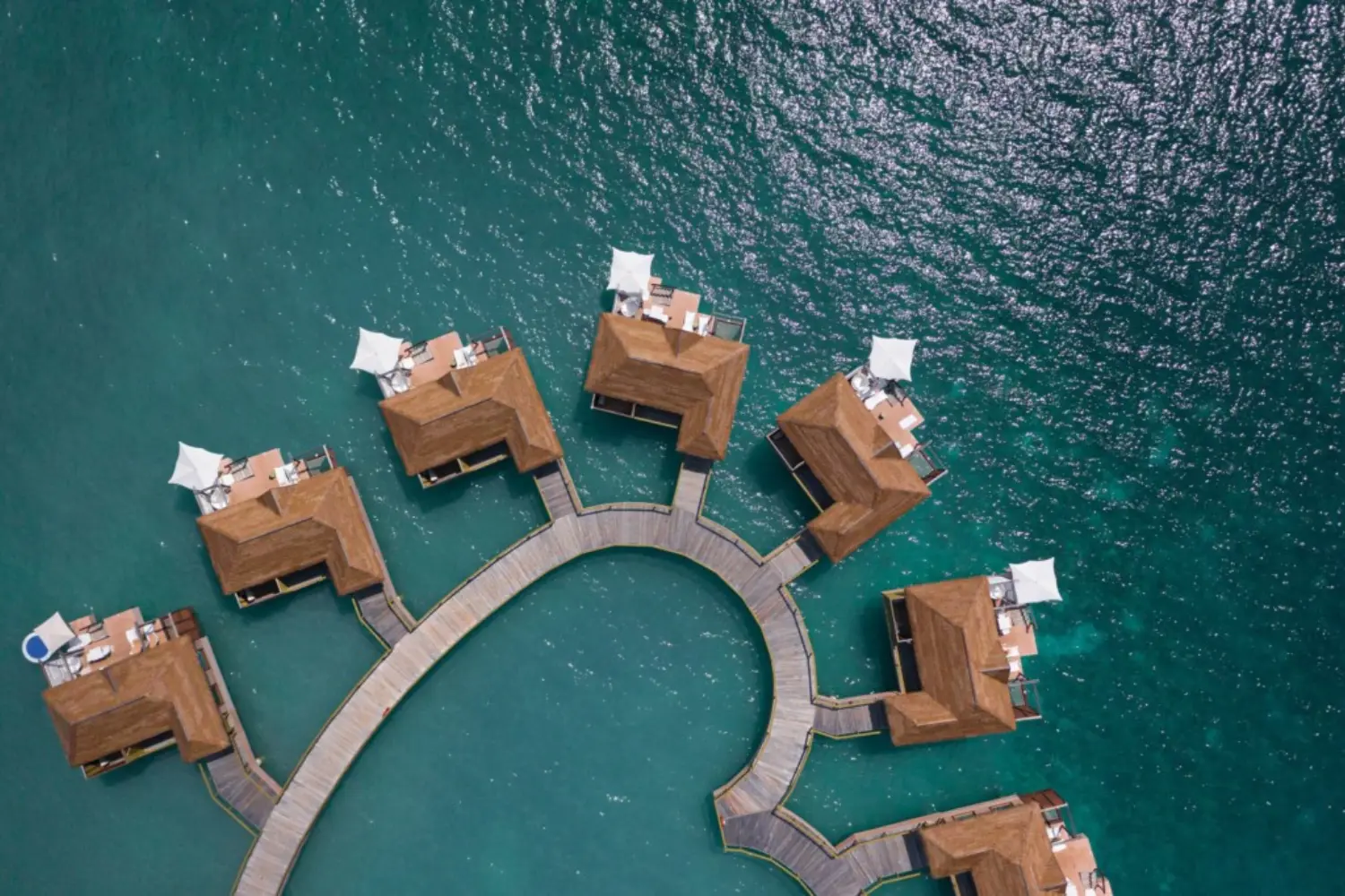 ocean master m1 manta