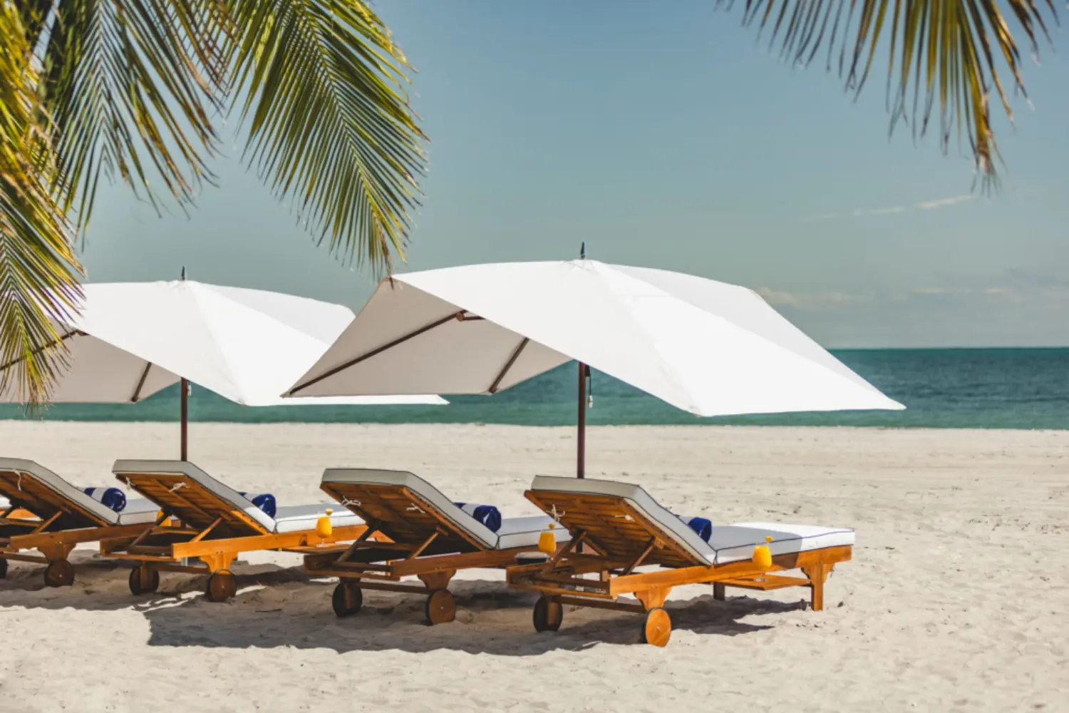 ocean master m1 polynesian