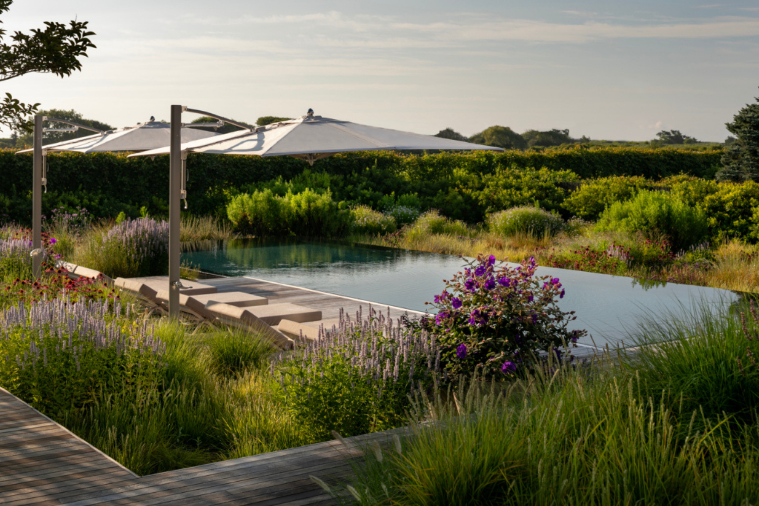 ocean master max classic cantilever (3)