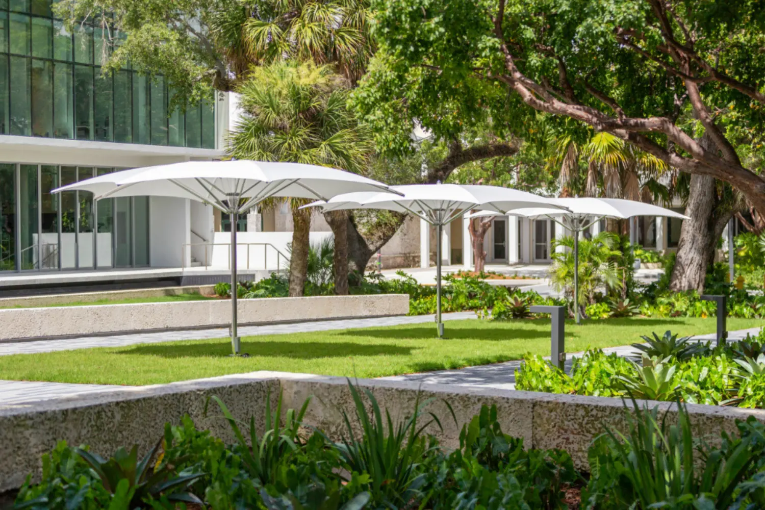 ocean master max crescent (4)