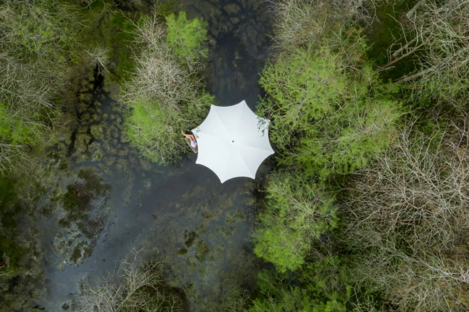 ocean master max crescent