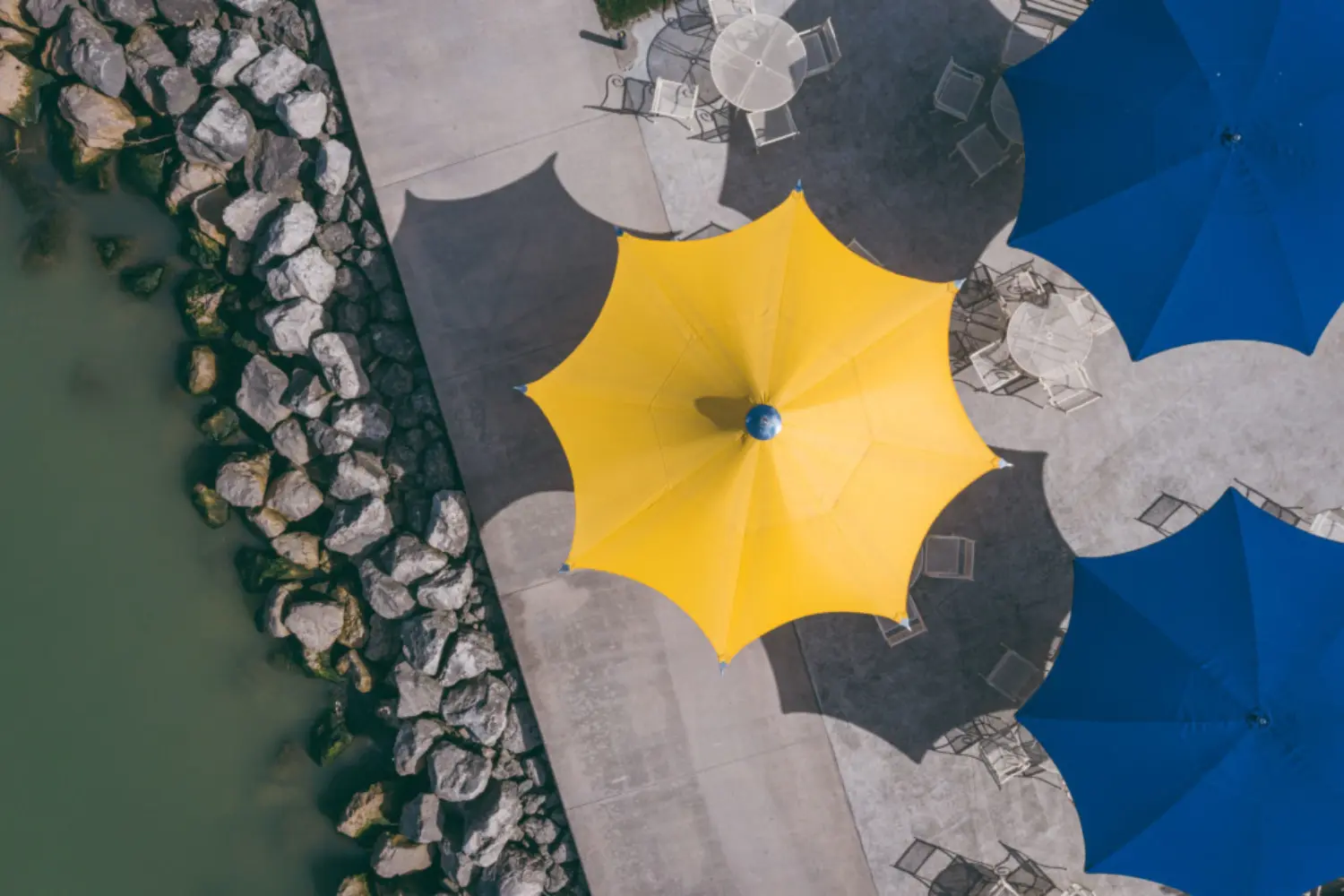 ocean master max f-1