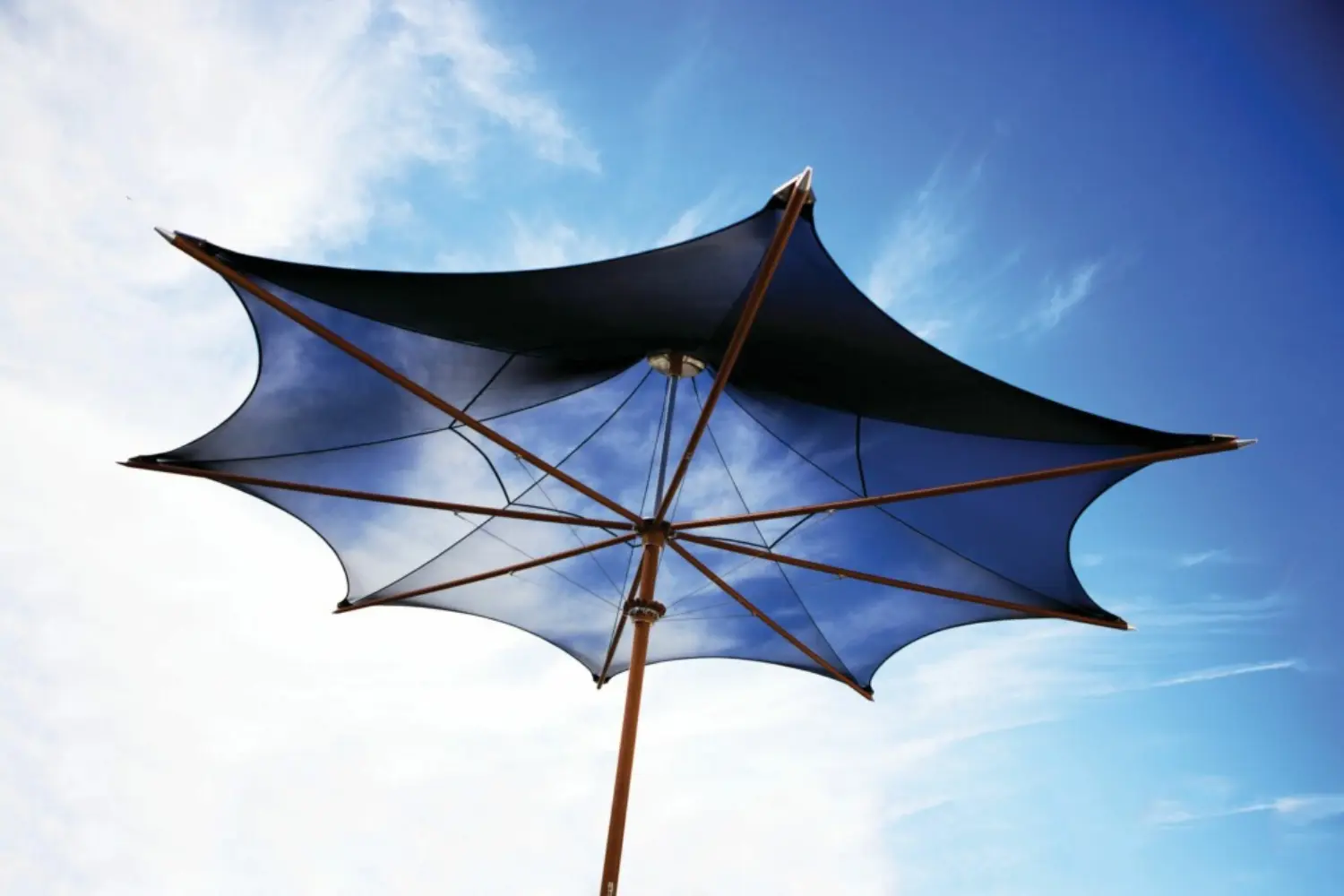 ocean master max f-1 (2)